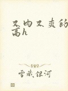 又肉又爽的小说高h