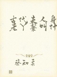 古代夫人身边的老丫鬟叫什么封面