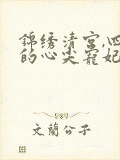 锦绣清宫,四爷的心尖宠妃封面