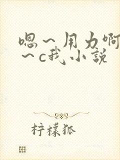 嗯～用力啊～嗯～c我小说封面