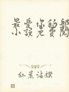 最爱你的那十年小说免费阅读全文