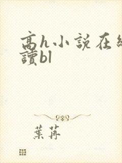 高h小说在线阅读bl