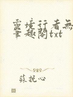 灵境行者无错版笔趣阁txt