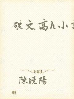 破文高h小说