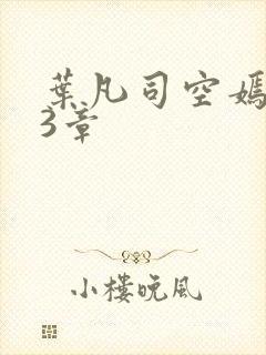 叶凡司空嫣然83章封面