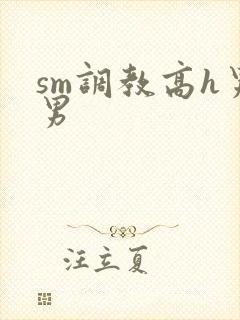 sm调教高h男男