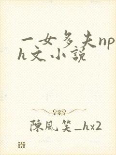 一女多夫np文h文小说封面