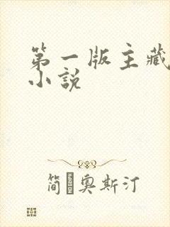 第一版主藏经阁小说