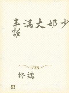 丰满大奶少妇小说封面