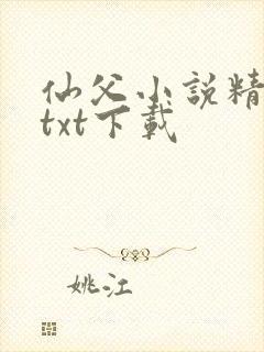 仙父小说精校版txt下载