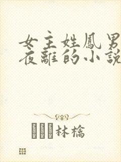 女主姓凤男主叫夜离的小说封面