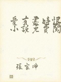 爱有尽时恨无期小说免费阅读封面