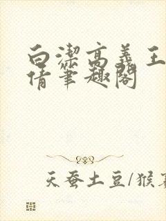 白洁高义王申孙倩笔趣阁封面