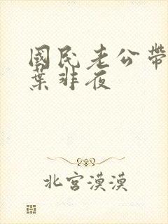 国民老公带回家叶非夜