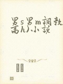 男s男m调教(高h)小说封面