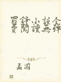 罗铮小说全文免费阅读无弹窗封面