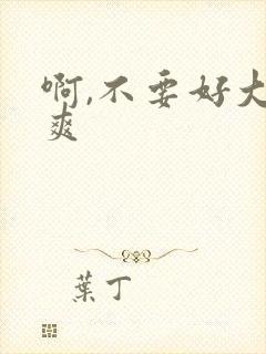 啊,不要好大好爽封面