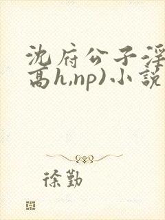 沈府公子淫史(高h,np)小说