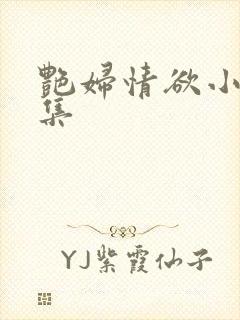 艳妇情欲小说全集封面