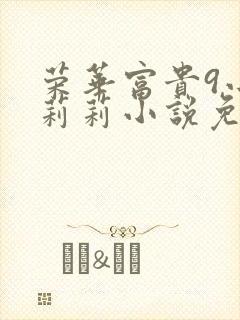 荣华富贵9小王莉莉小说免费阅读