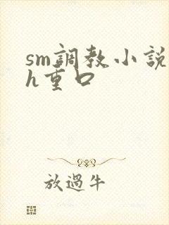 sm调教小说高h重口