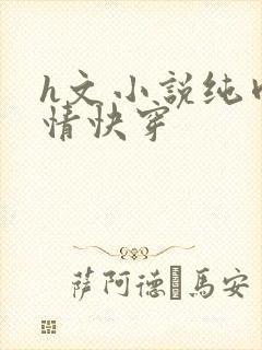 h文小说纯肉剧情快穿