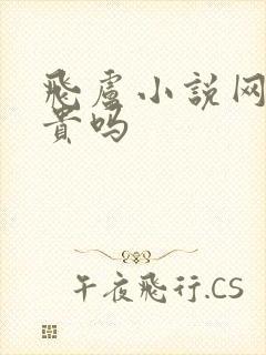 飞卢小说网看书贵吗封面