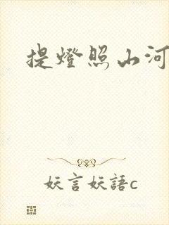 提灯照山河封面