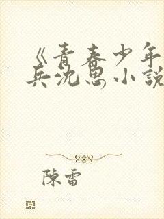 《青春少年》李兵沈思小说封面