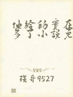 他给的实在是太多了小说免费阅读