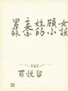 男主姓顾女主叫苏念的小说