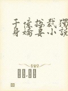 千亿总裁独宠替身娇妻小说封面