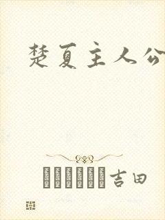 楚夏主人公小说封面