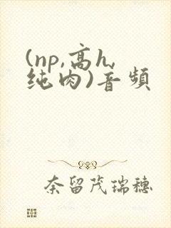(np,高h,纯肉)音频