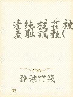 清纯校花被民工羞耻调教(