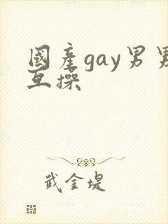 国产gay男男互操