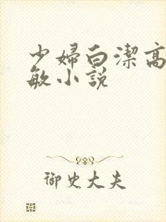 少妇白洁高义张敏小说