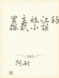 男主姓江的现代总裁小说