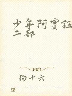 少年阿宾钰慧第二部