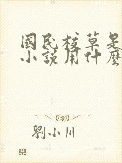 国民校草是女生小说用什么app可以免费