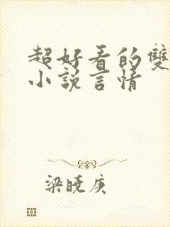 超好看的双男主小说言情