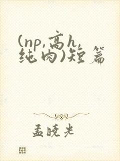 (np,高h,纯肉)短篇