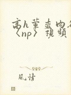 高h荤爽肉欲文〈np〉视频
