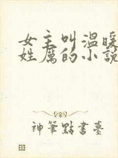 女主叫温暖男主姓厉的小说