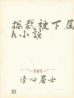 总裁被下属调教h小说