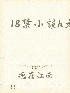 18禁小说h文