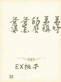 爸爸的弟弟的老婆怎么称呼