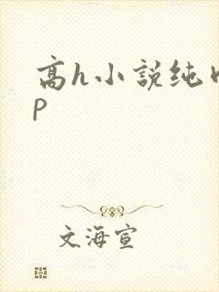 高h小说纯肉np