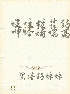 吸住校花的奶头呻吟娇喘高潮小说