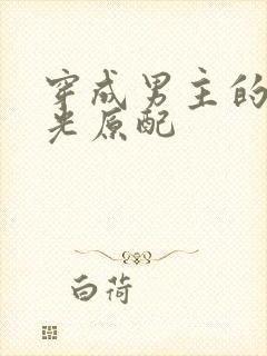 穿成男主的白月光原配